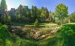 Schwarzwaldlandschaft mit Bach bei Elzach (Landkreis Emmendingen, Baden-Württemberg, Deutschland)