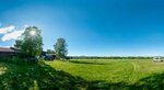 Kuhwiese in Norwegen - Cow meadow in Norway