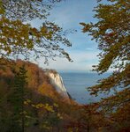 Rügen - Kreidefelsen