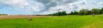 Wiese mit Heuballen  -  Meadow with hay bales