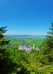 Neuschwanstein8