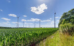 Windkraft im Maisfeld 06