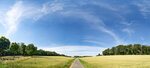 Straße durch Getreidefelder

Road through grain fields