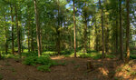 Wald10